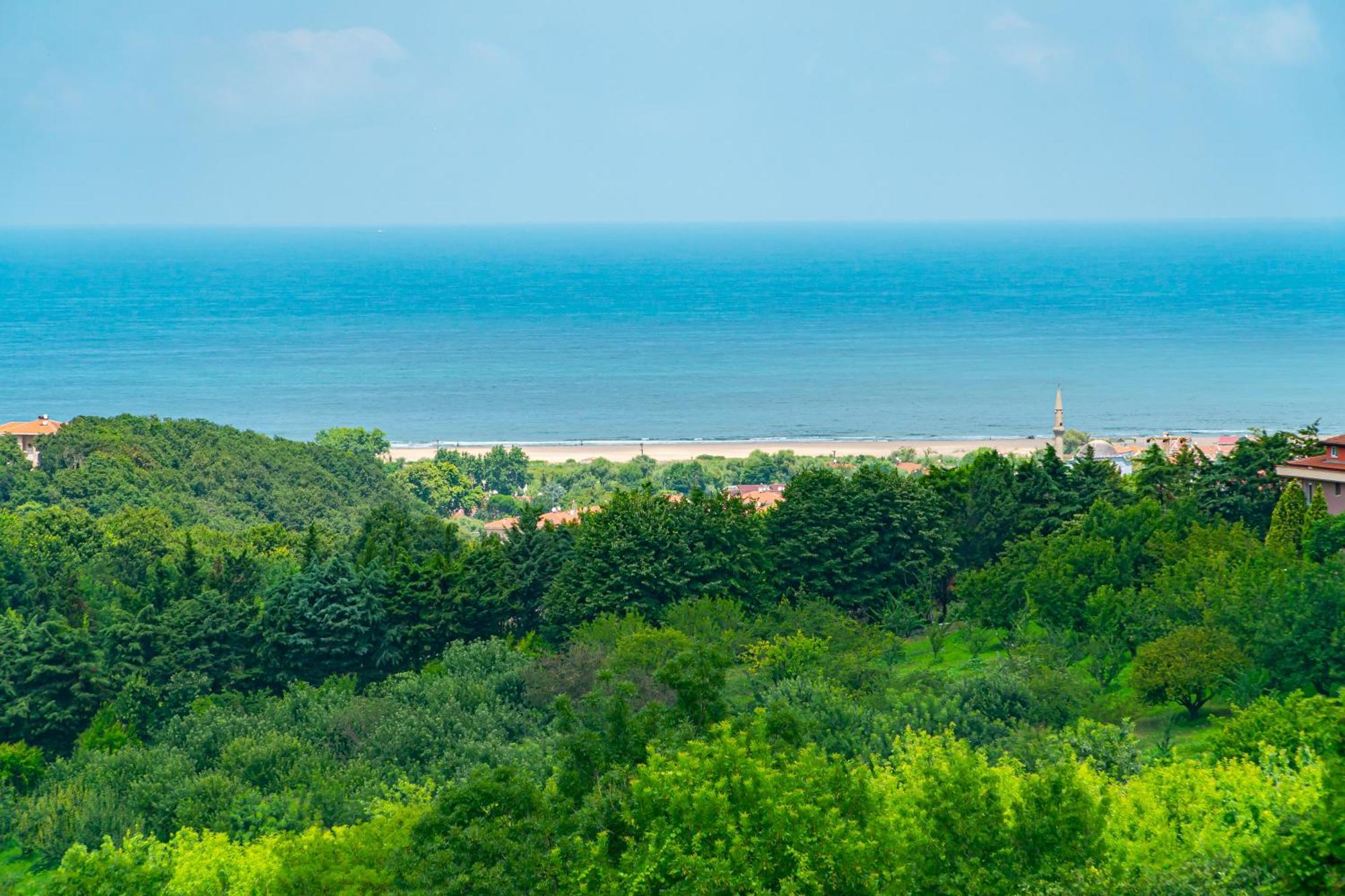 Royal Blue Istanbul - Luxury Villas Ngoại thất bức ảnh